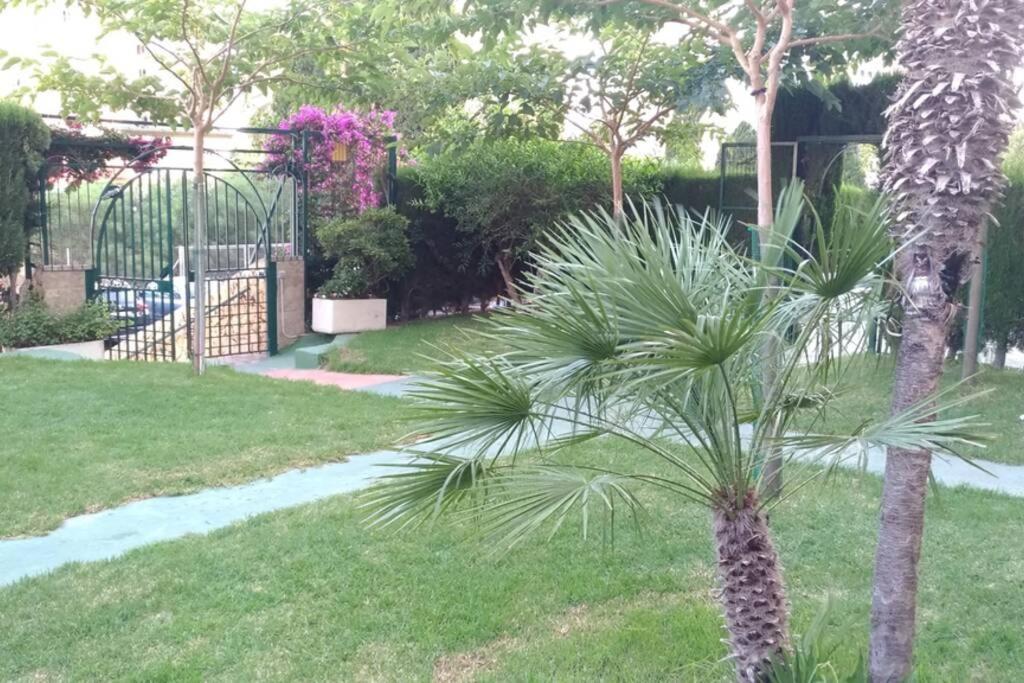 בנידורם Apartamento Moderno מראה חיצוני תמונה